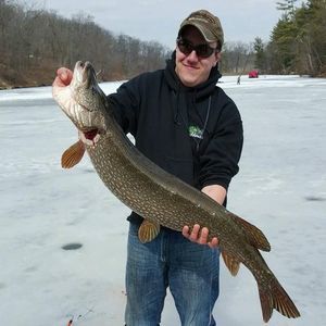 Meet your Posher, Cory